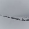 20140216_350